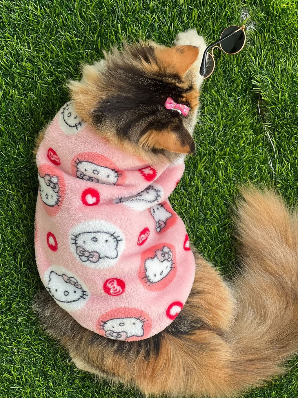 Hello kitty pet sweater š» - blue