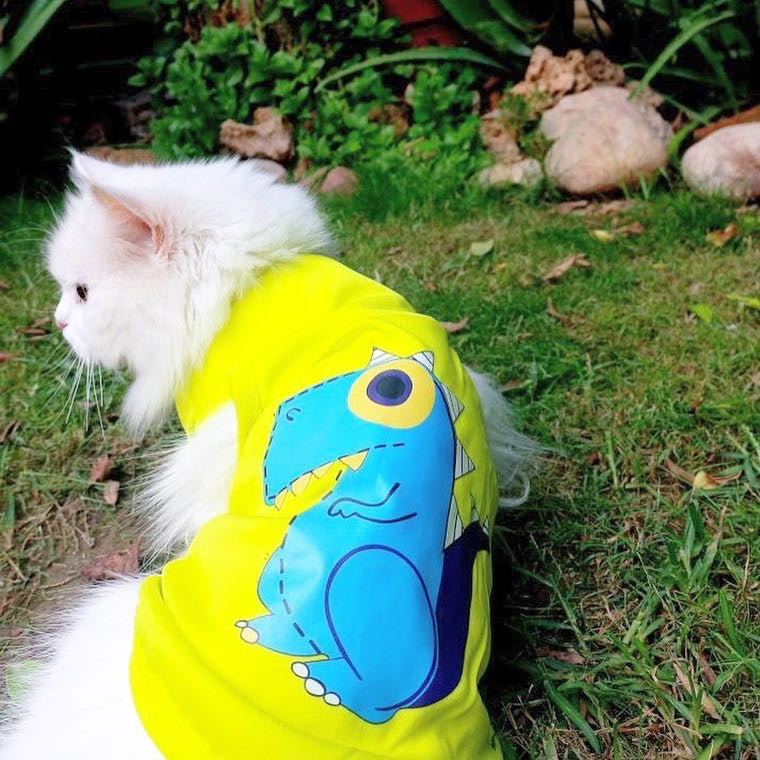 Dinosaur Pet shirt Summer ๐ฆ