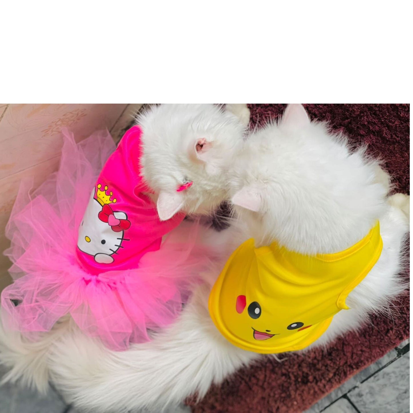 Hello Kitty Pet shirt Summer