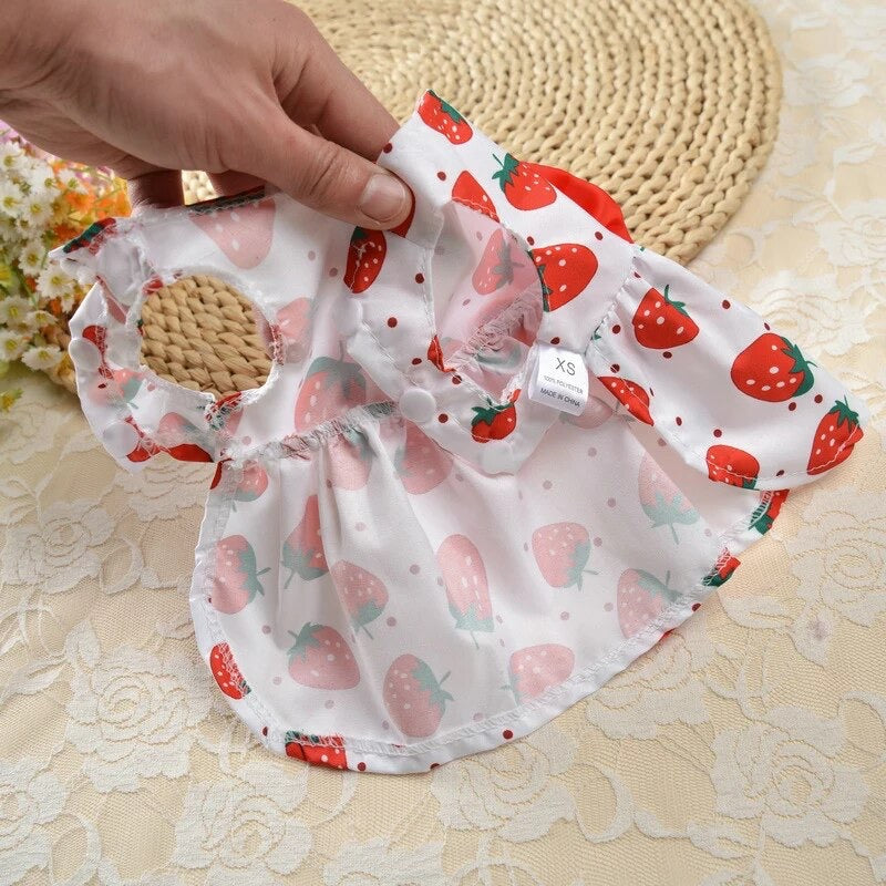 Avalon Pet Frock ππ