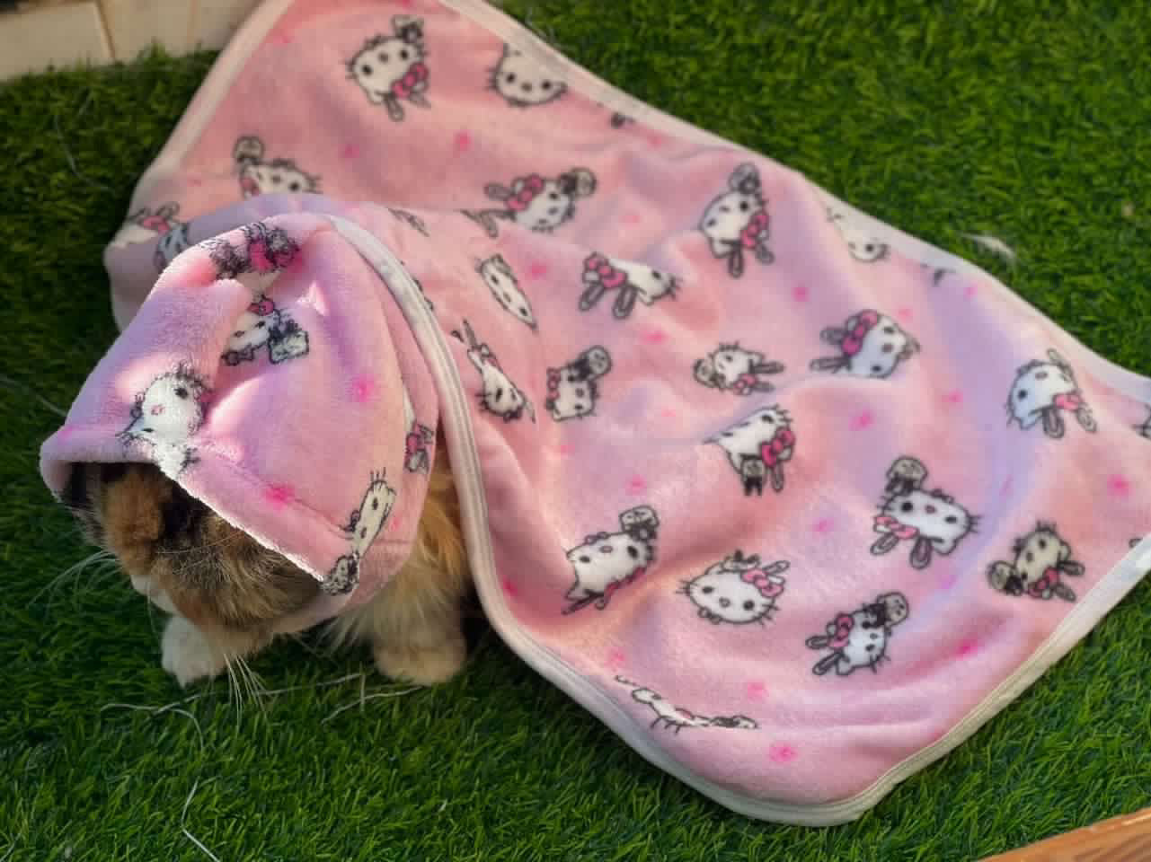 Pet Blanket - Hello kitty | pink