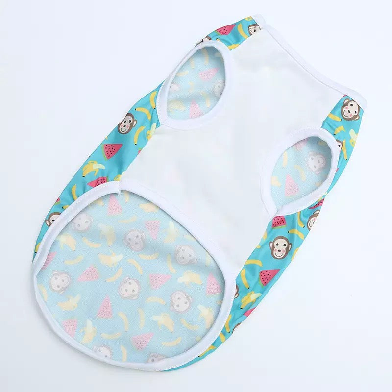 Denk Bear pet shirt 🧸