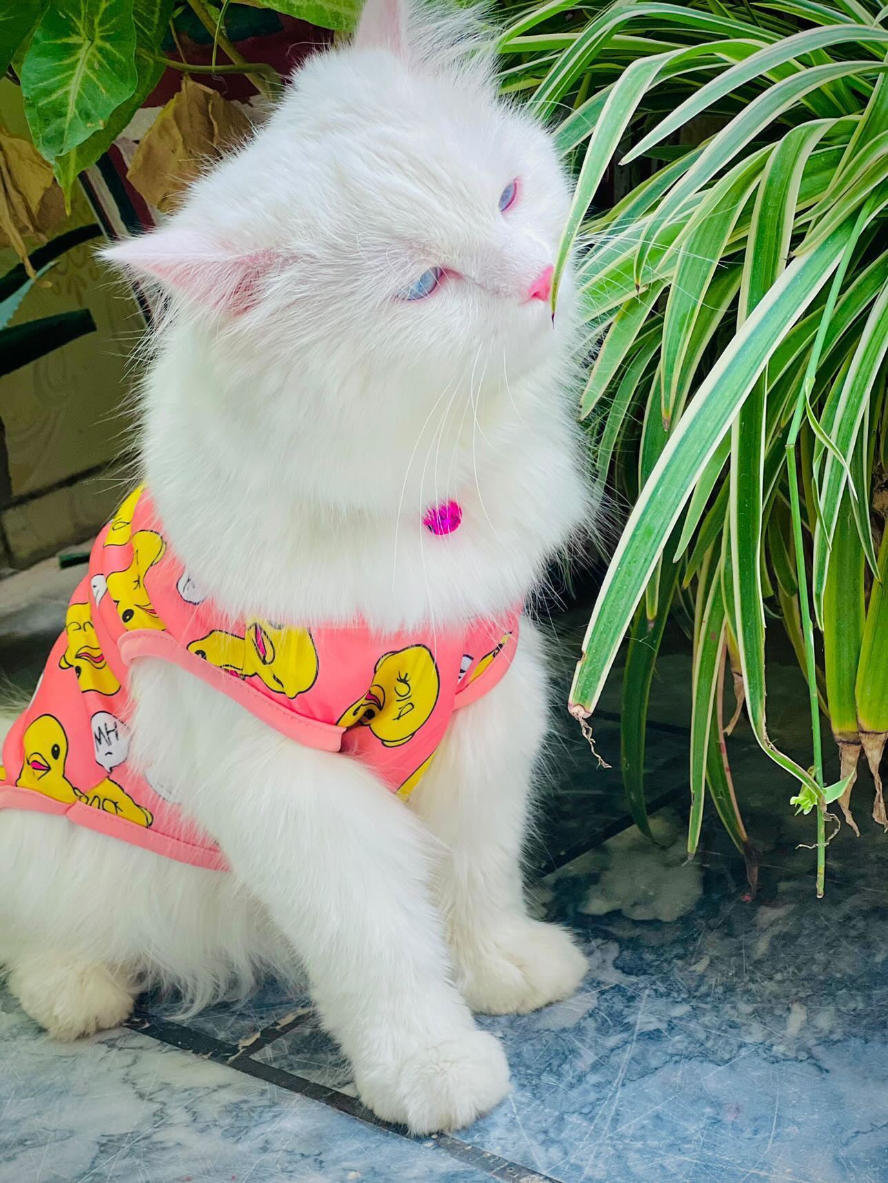 Duck pet shirt - pink 🐥