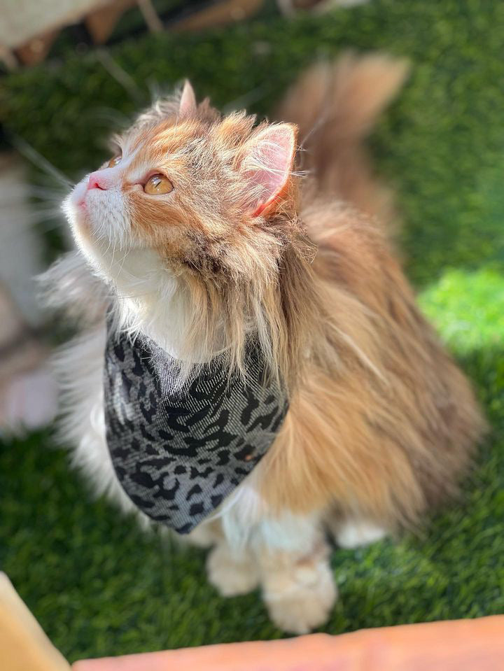 Space leopard pet bandana - adjustable
