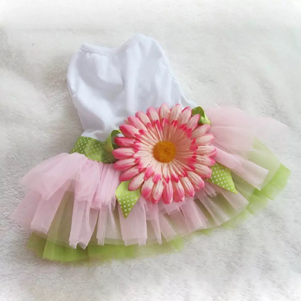 Hawaii Pet Frock π