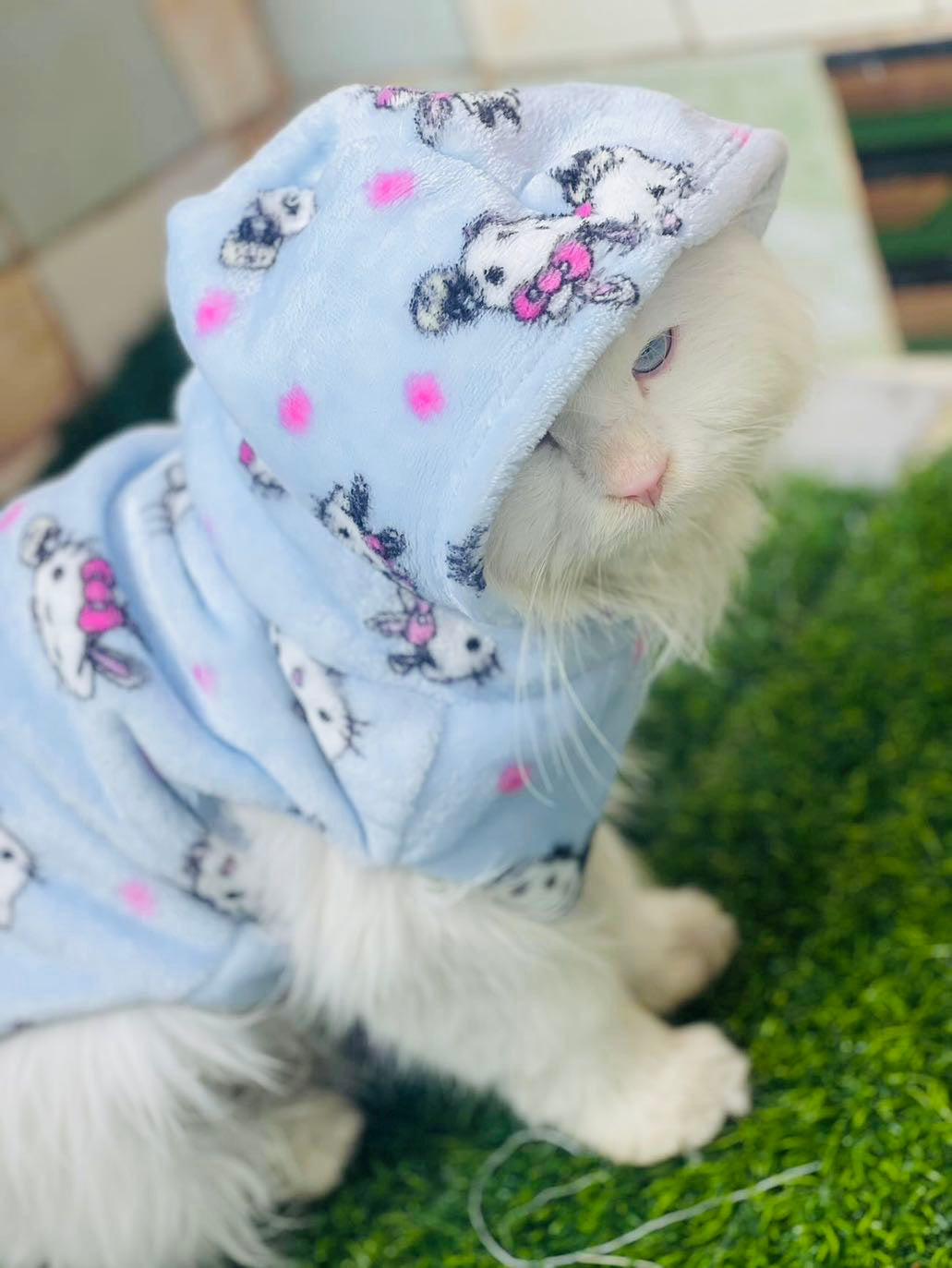 Hello kitty pet hoodie - Blue ❄️🐾