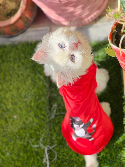 Dab style pet shirt β€οΈπ½