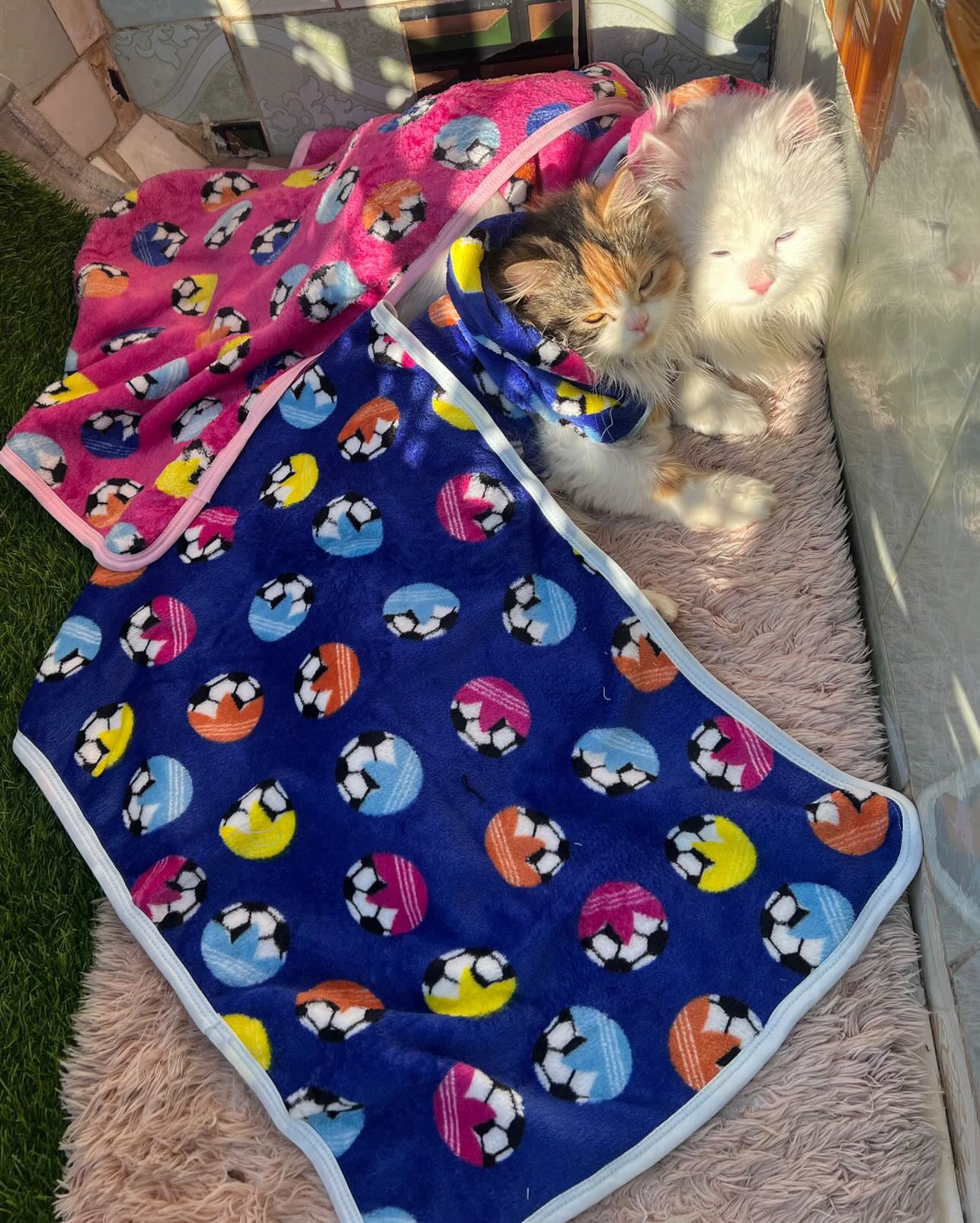 Pet Blanket - Blue football ⚽️