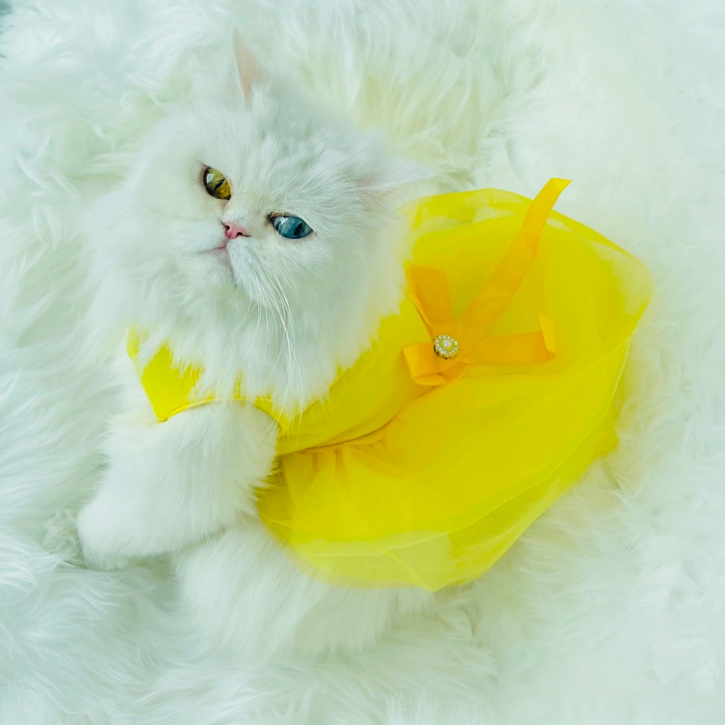 Lexa pet frock - yellow | Winter