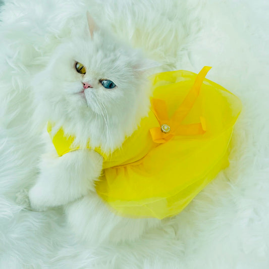 Lexa pet frock - yellow | Winter