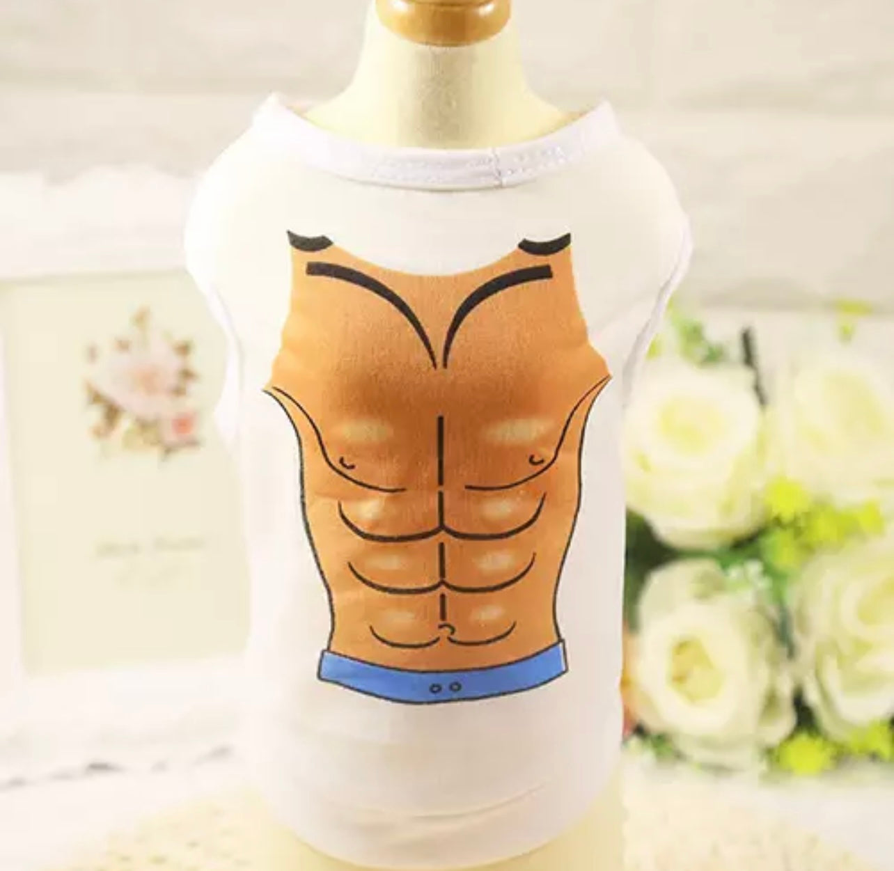 Abs muscle pet shirt 🏋️