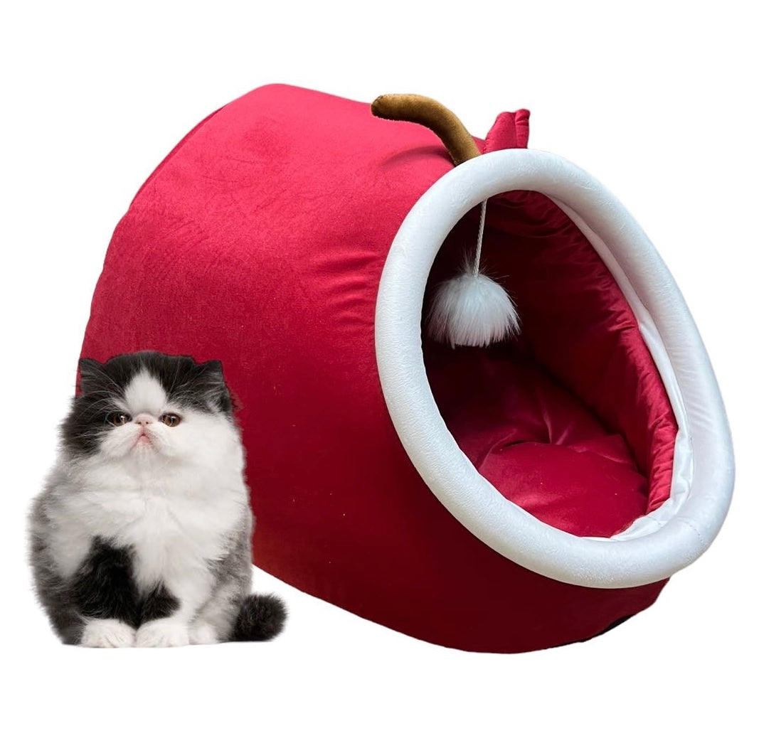 Red apple pet house š