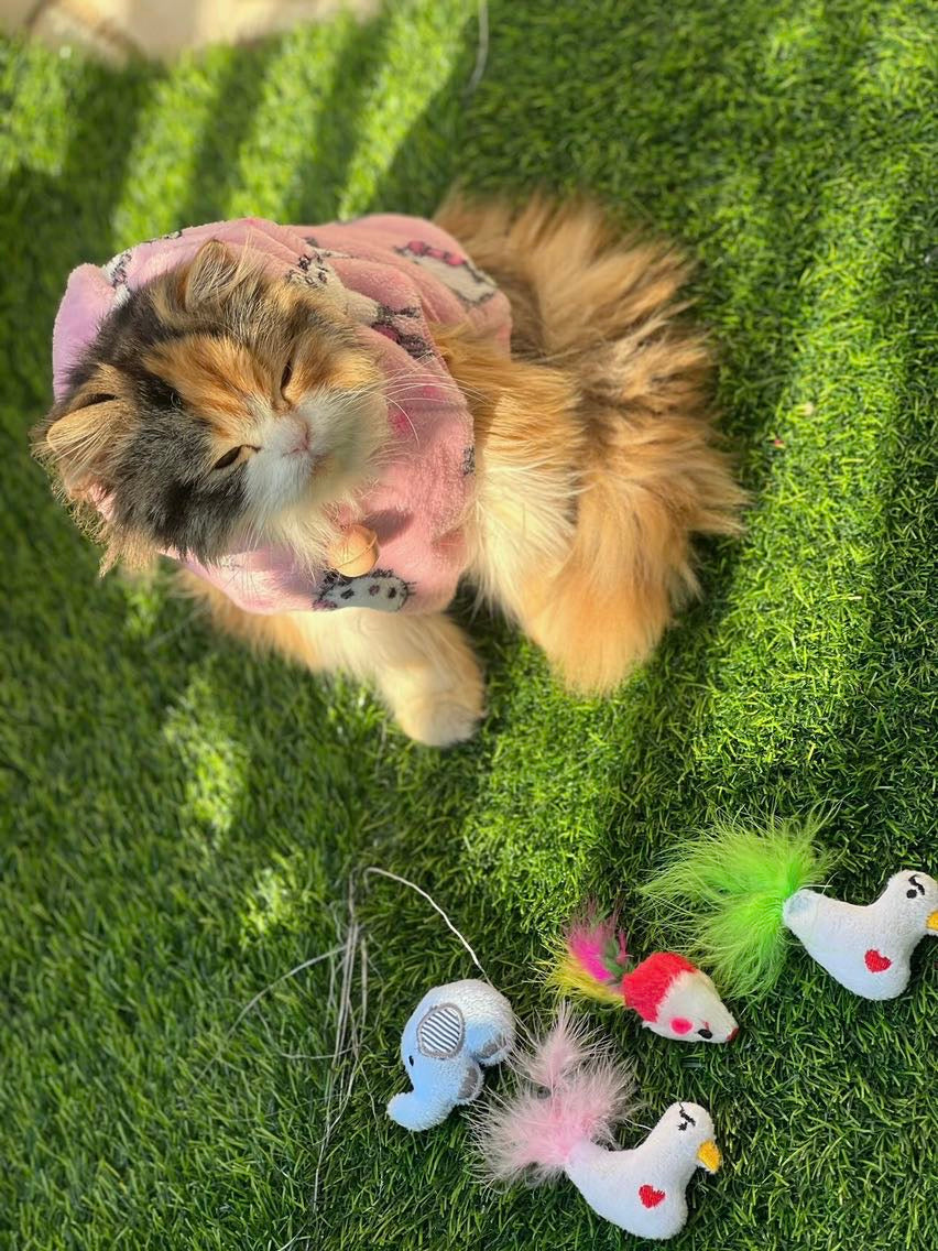 Hello kitty pet hoodie - Pink 💓🐾