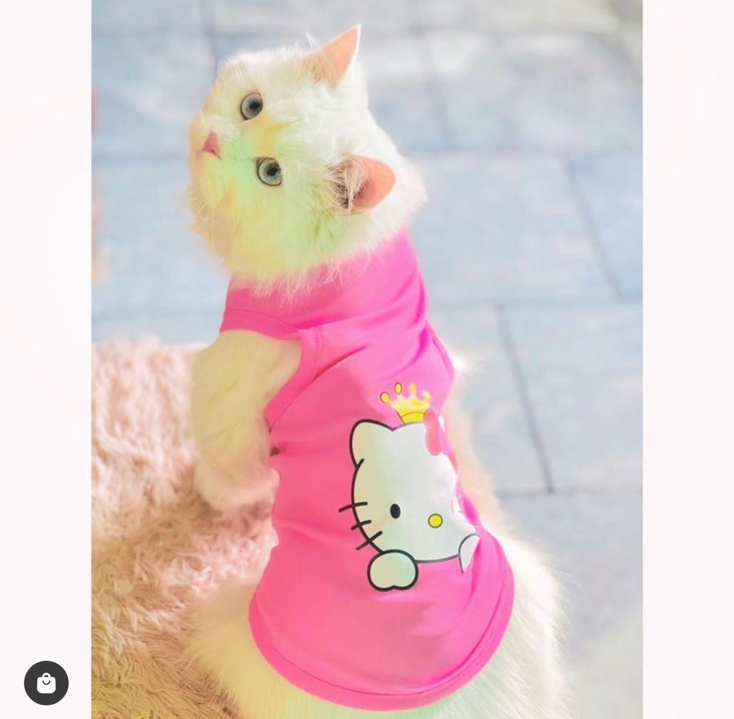 Hello Kitty Pet shirt Summer