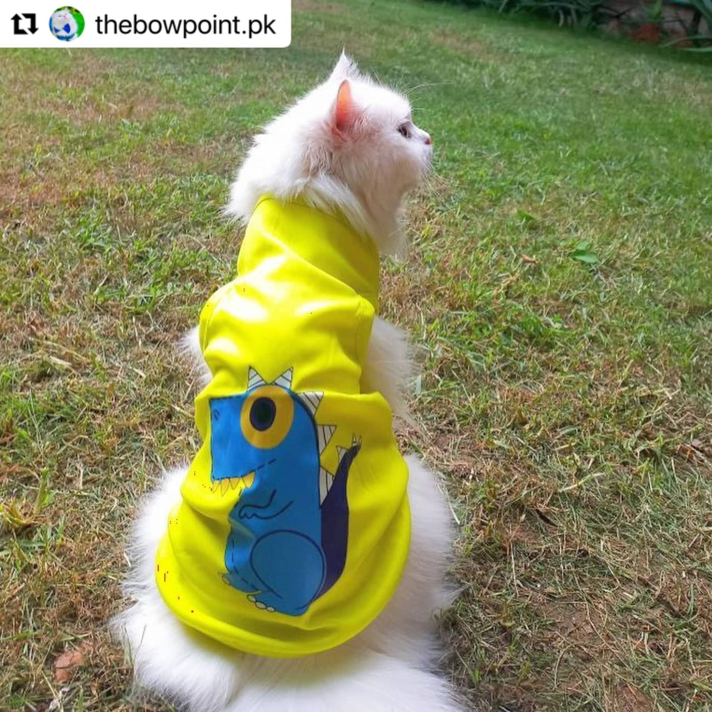 Dinosaur Pet shirt Summer ๐ฆ