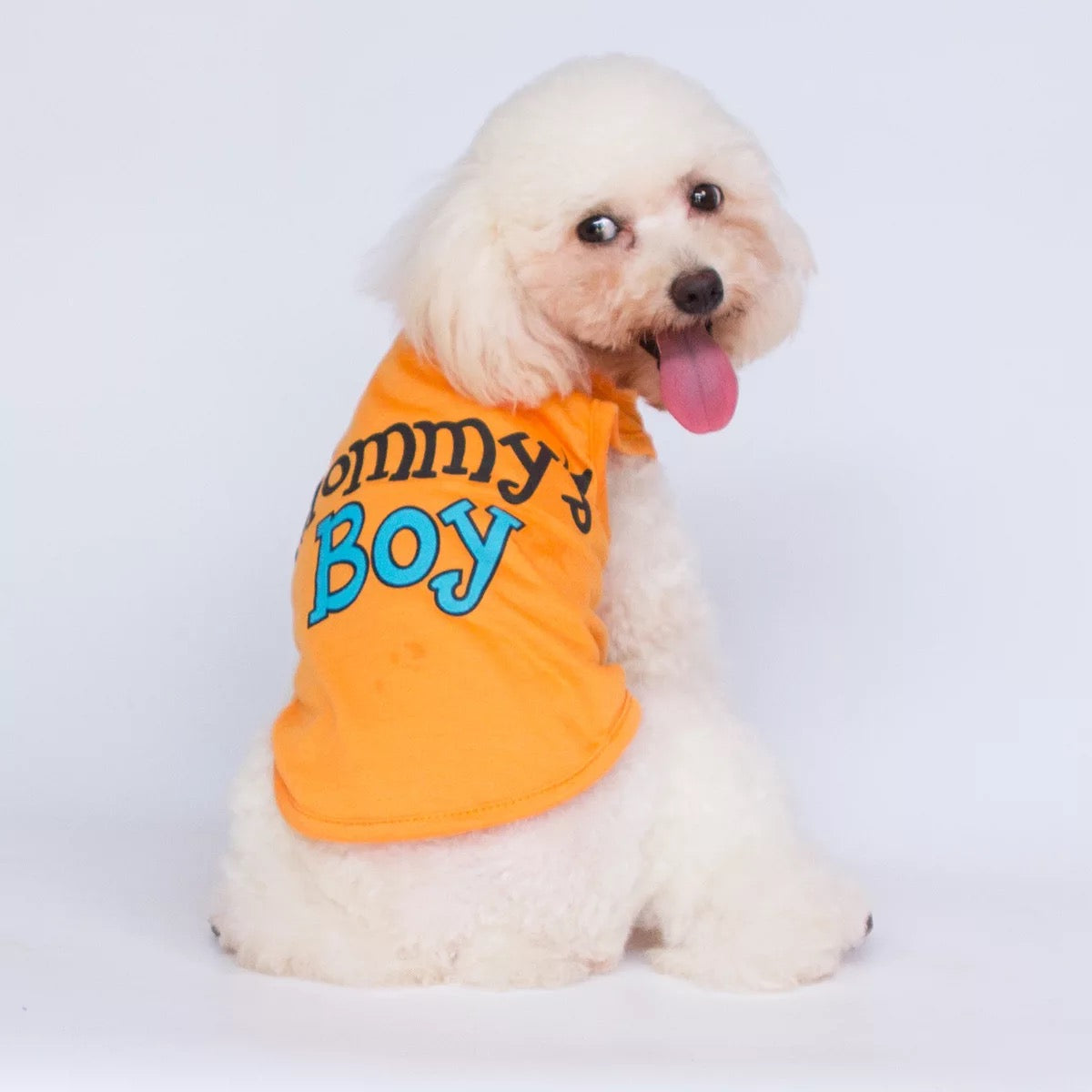 Mommy’s boy pet shirt