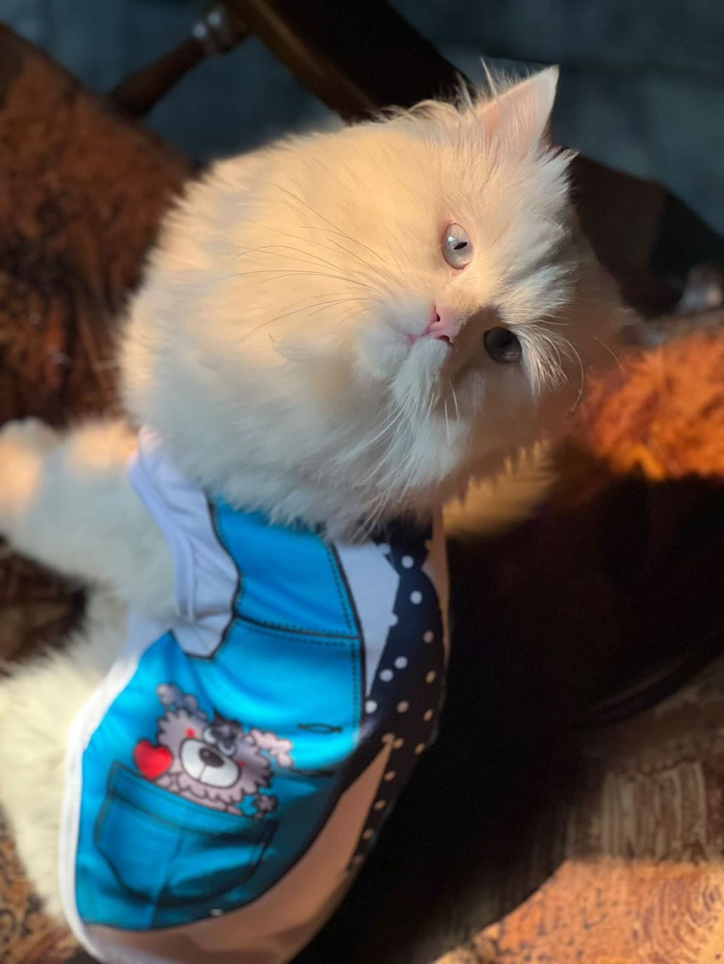 Tie vest pet shirt