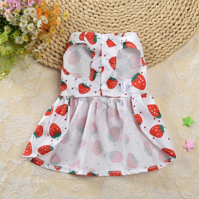 Strawberry Pet Frock 🍓