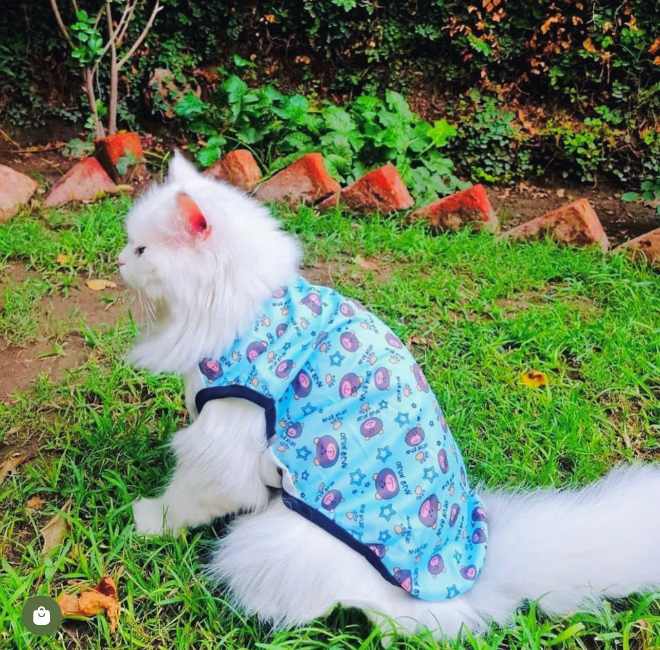 Denk Bear pet shirt 🧸