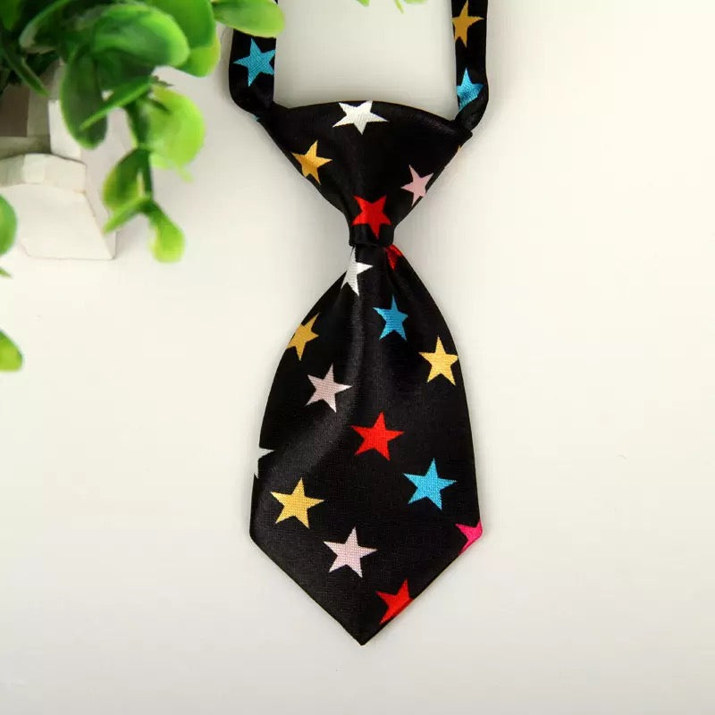 Adjustable pet tie.