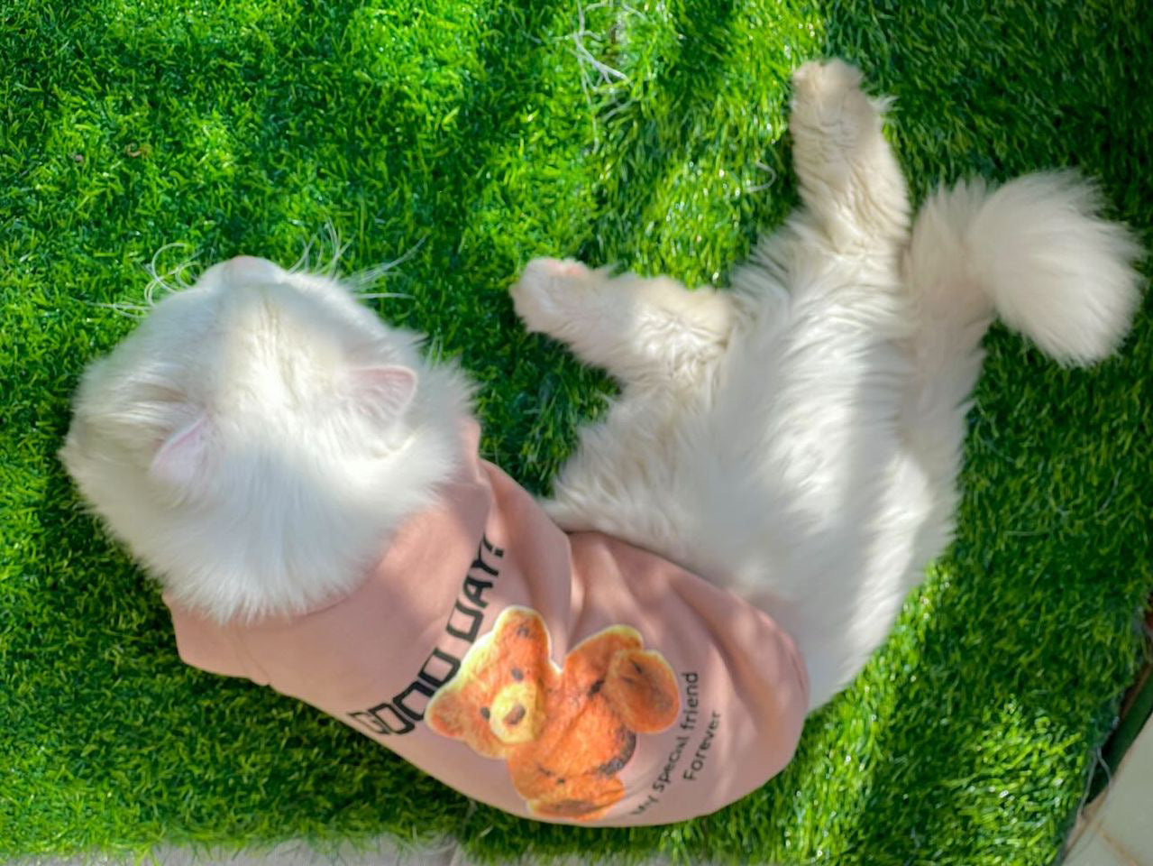 Good day pet sweater š§ø - Brown