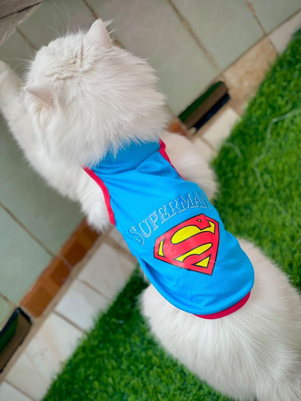 Superman pet shirt