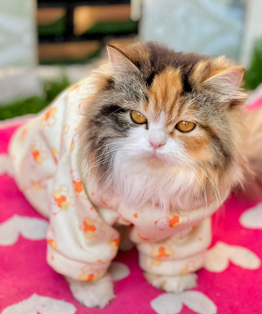 Heart bear pet sweater π§Έπ Yellow