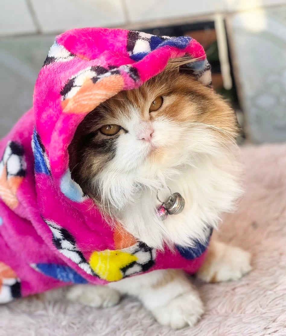 Football pet hoodie - pink ⚽️