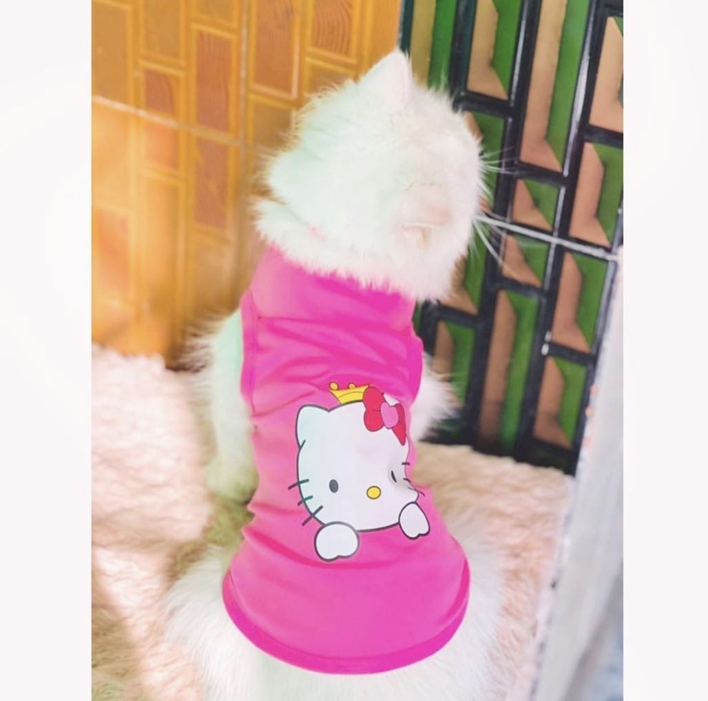 Hello Kitty Pet shirt Summer