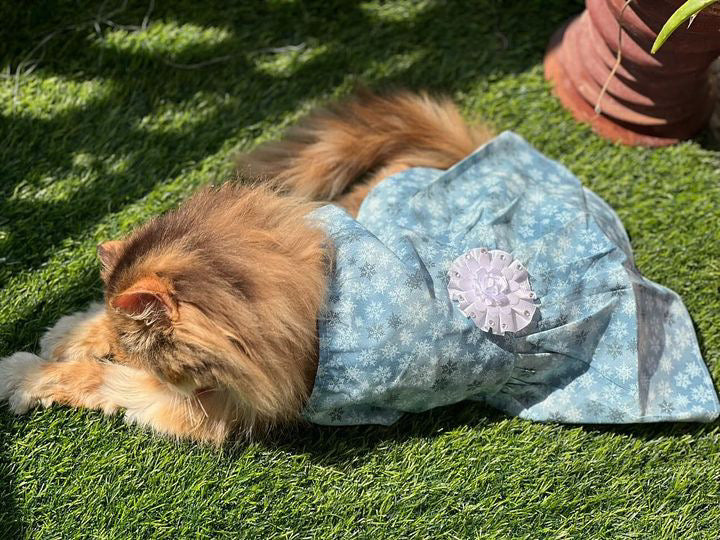 Elsa Pet Frock ❄️