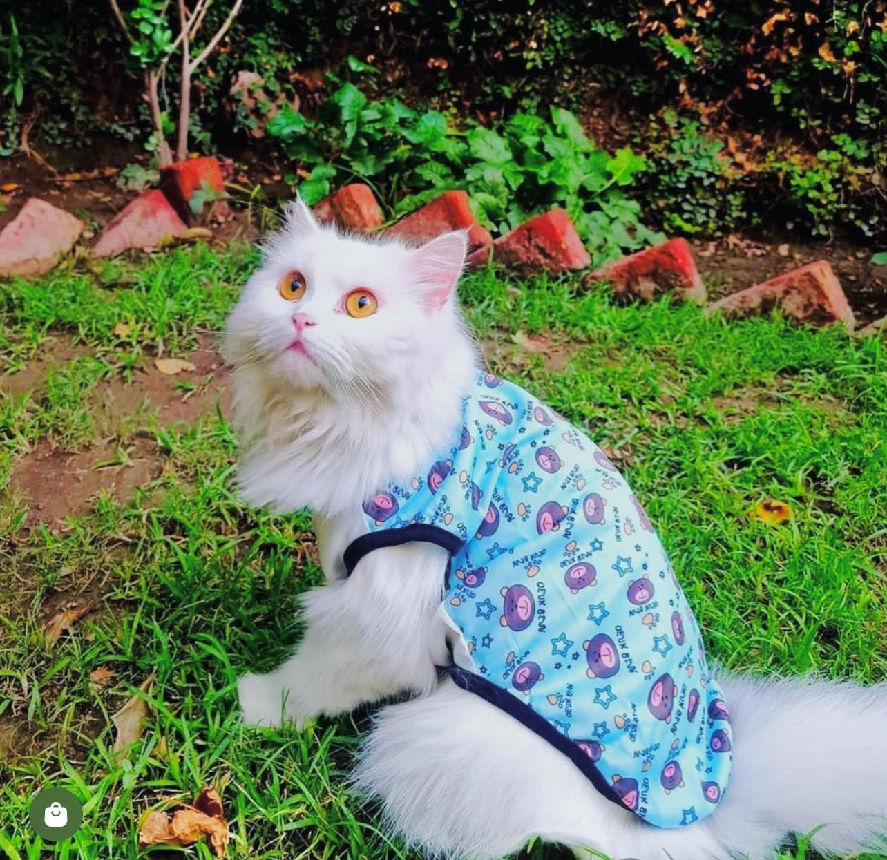 Denk Bear pet shirt 🧸