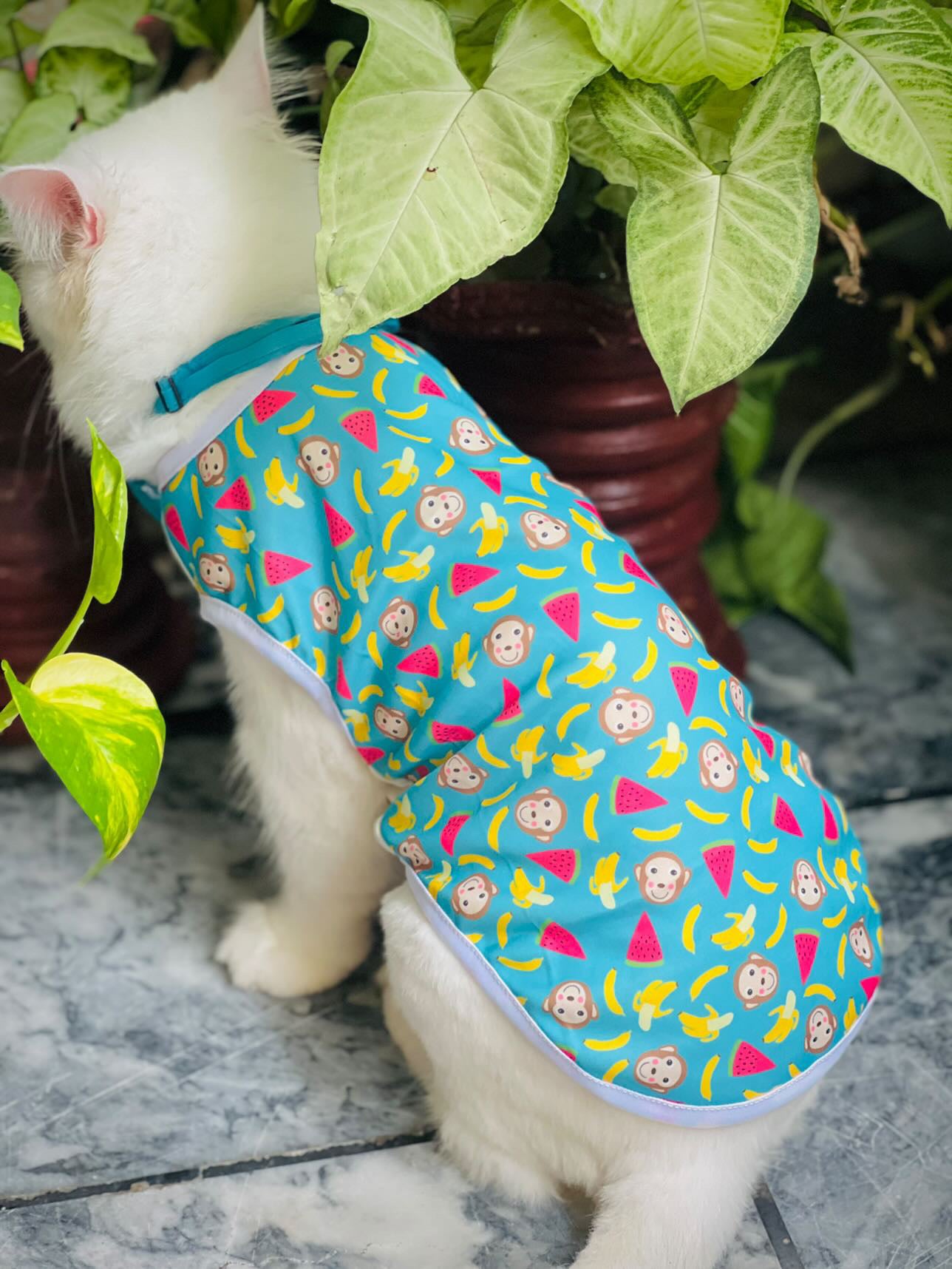Banana monkey pet shirt ๐๐ต