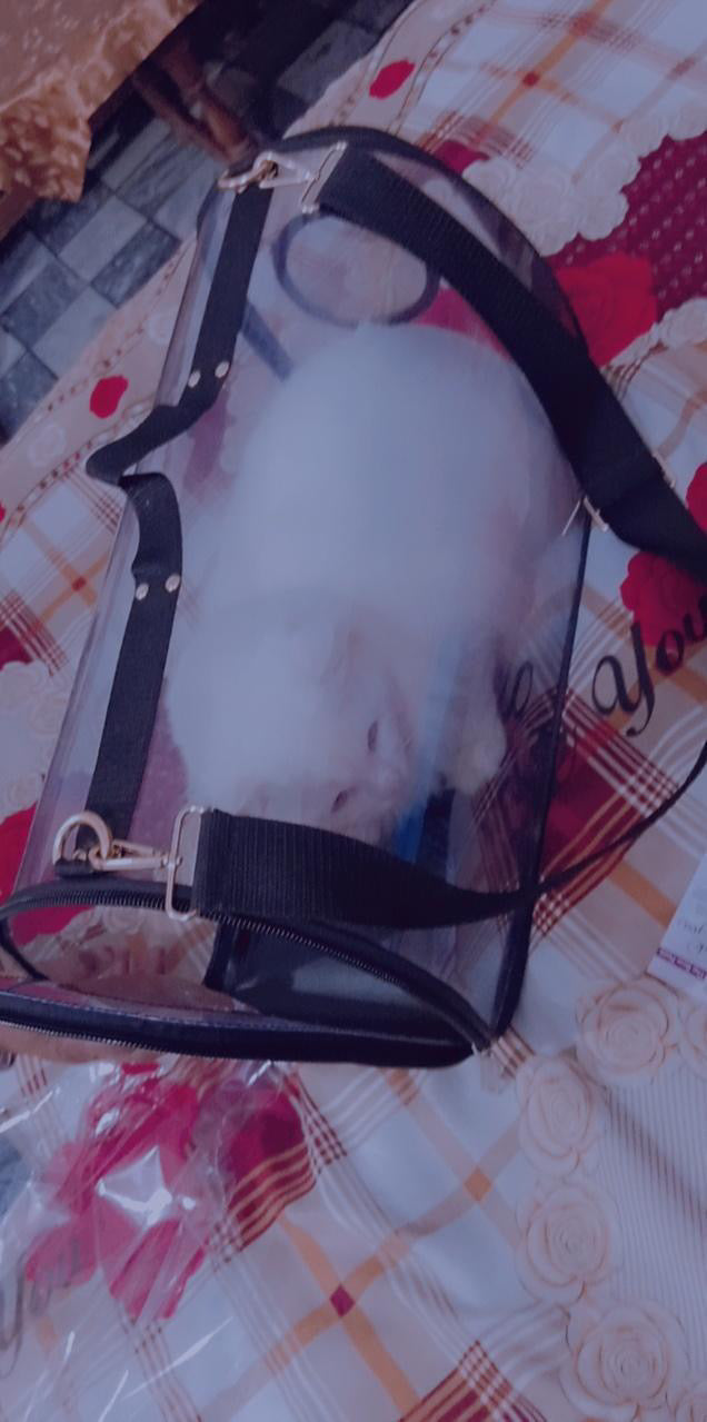 Pet traveling bag | Carrier | XL