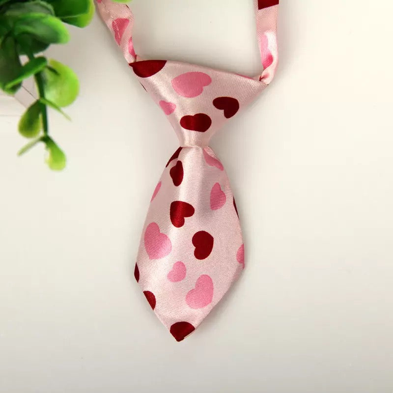 Adjustable pet tie.