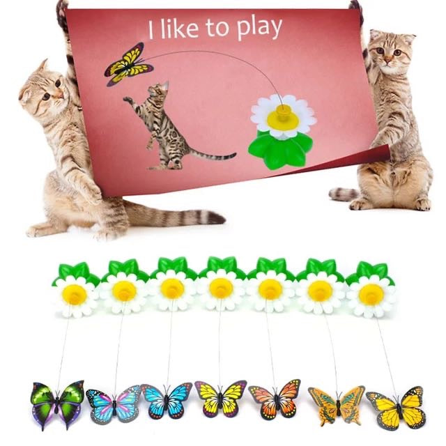 Butterfly rotation- delicate toy