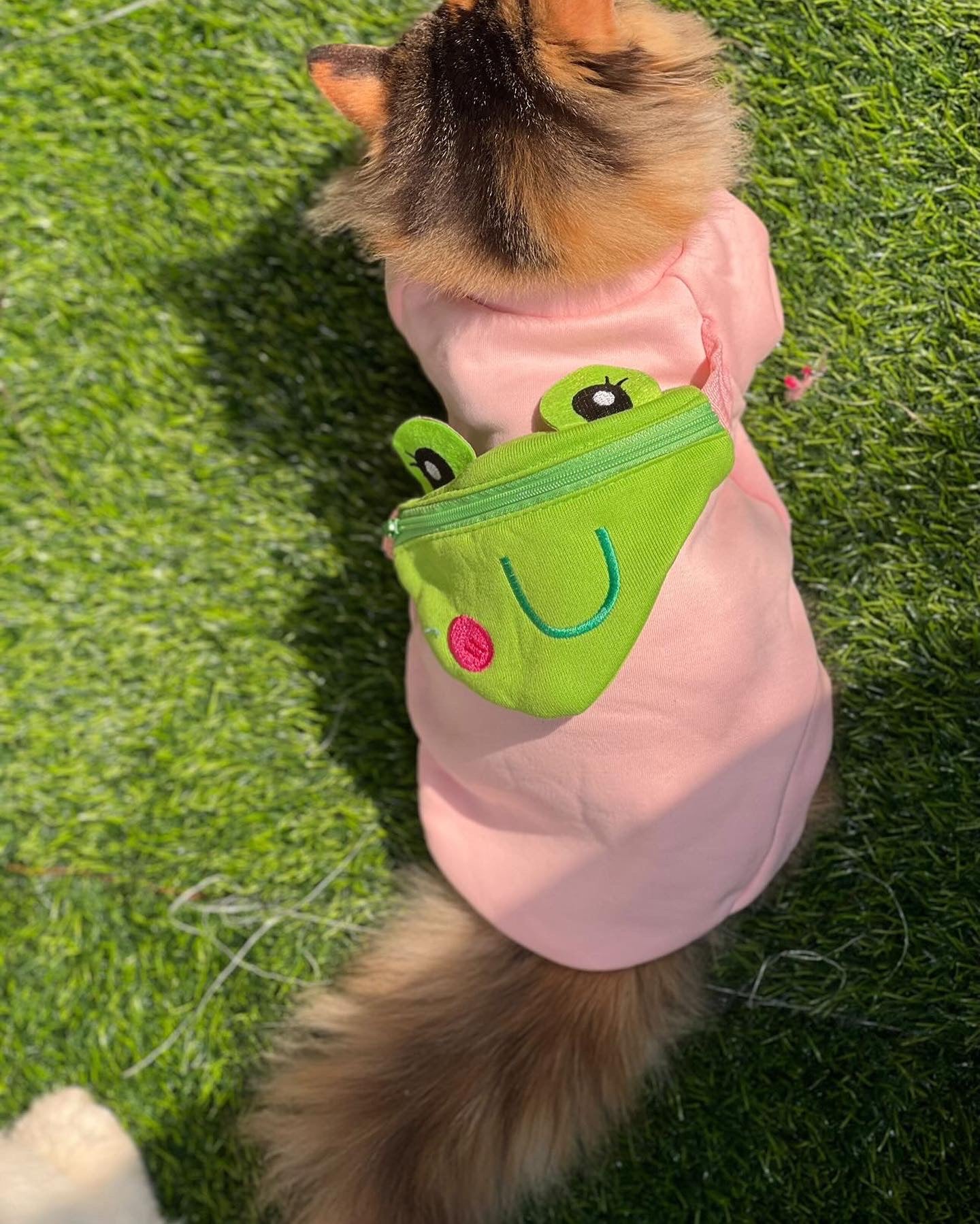 Froggy pouch pet sweater šø