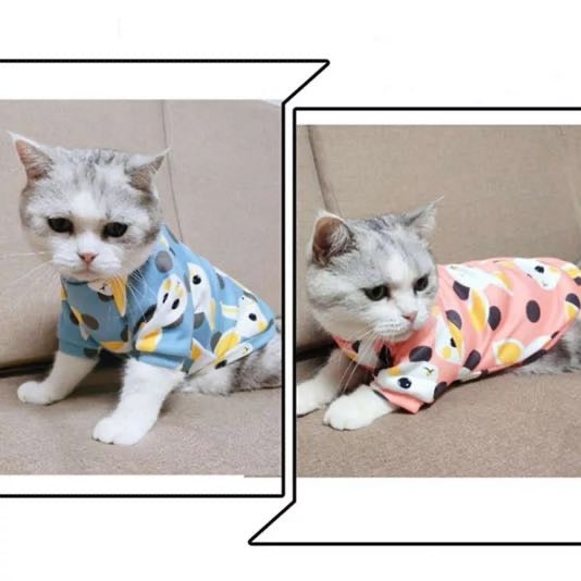 Bunny pet sweaters š°