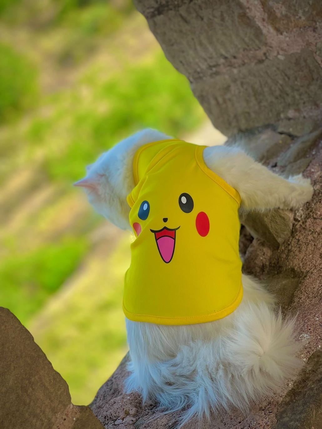 Pikachu Pet shirt - Summer