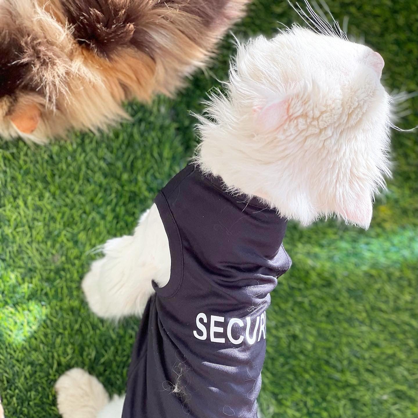 Security pet shirt - BLACK 🚔