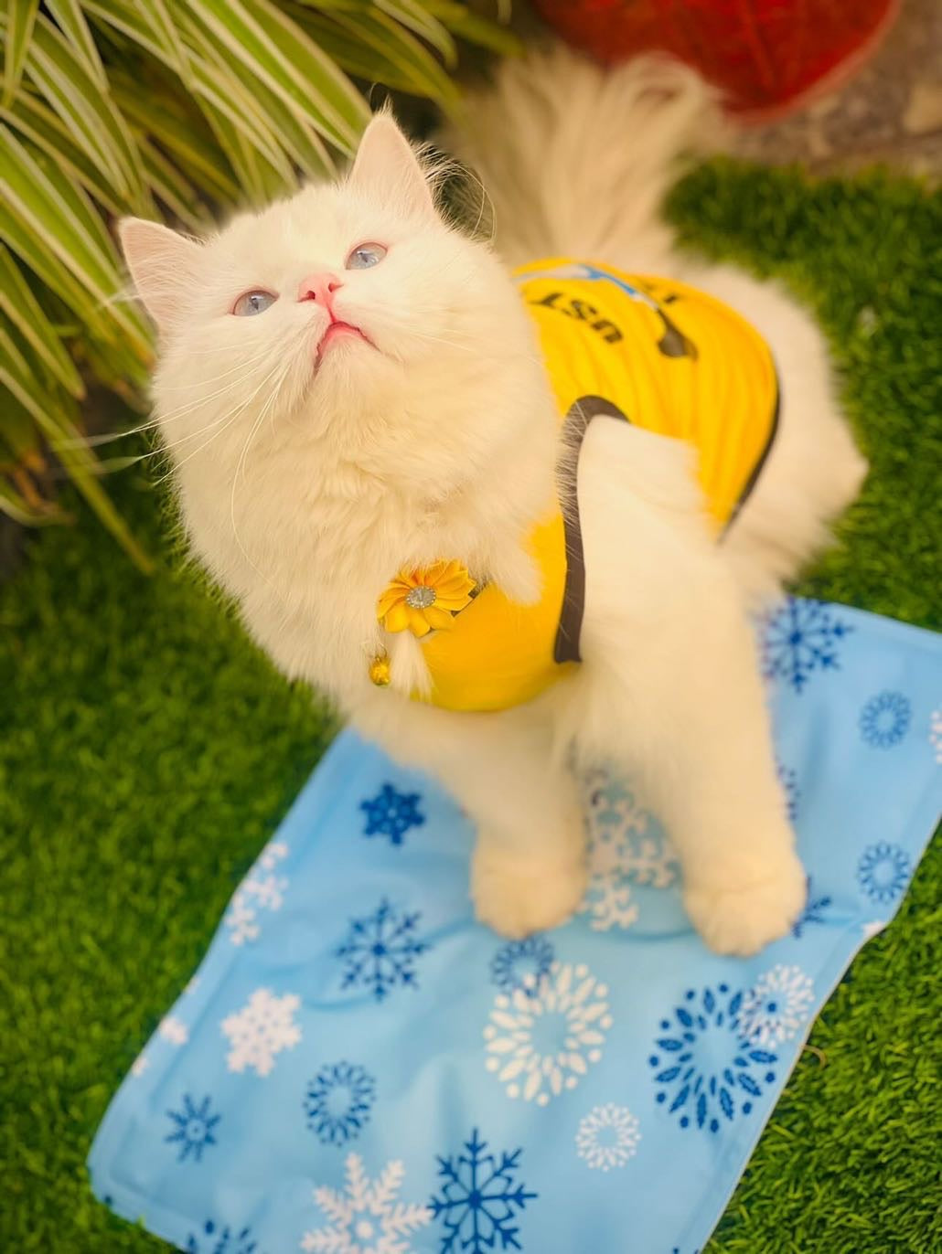 Just Do It pet shirt ✔️