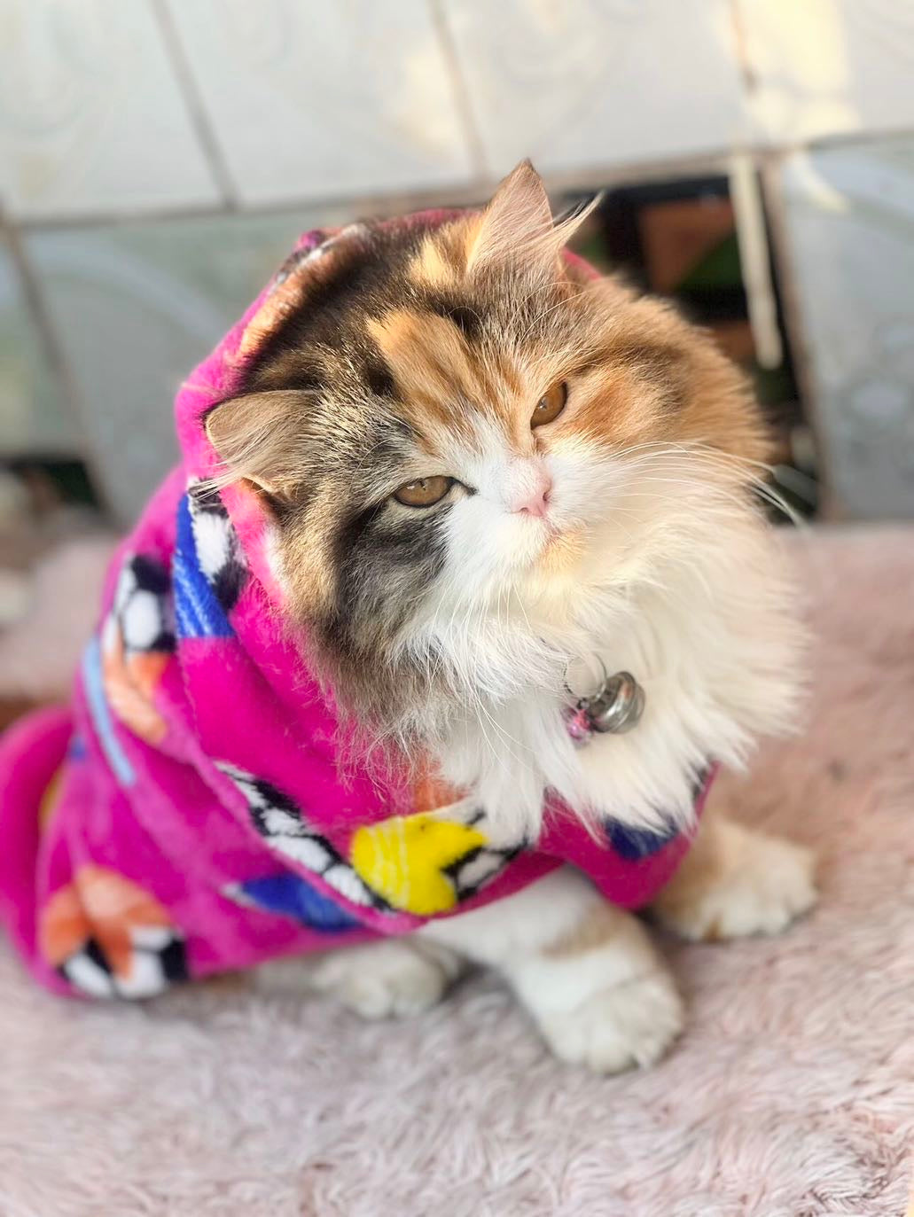 Football pet hoodie - pink ⚽️