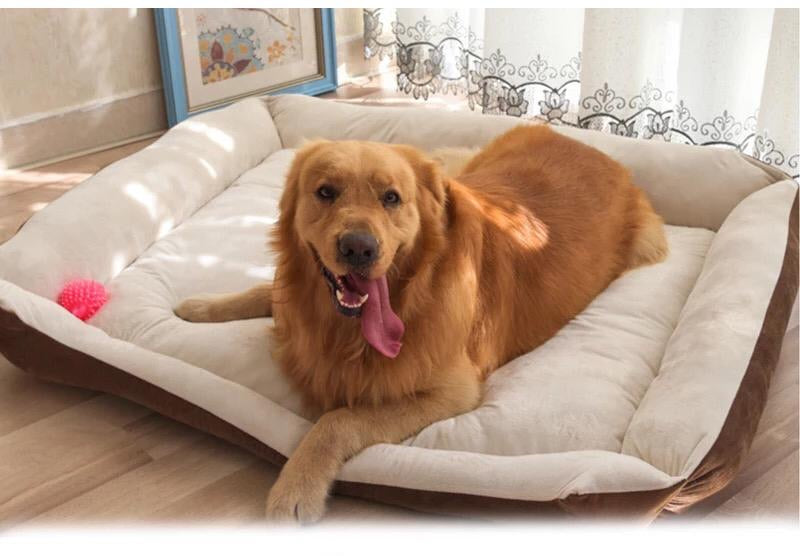 Comfy paw pet bed - For large breed dogs