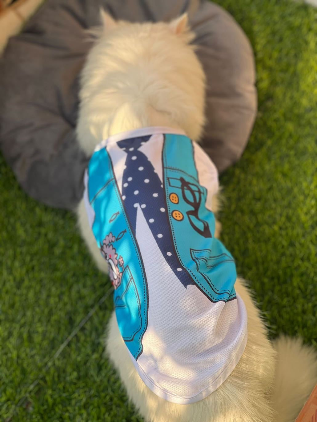 Tie vest pet shirt