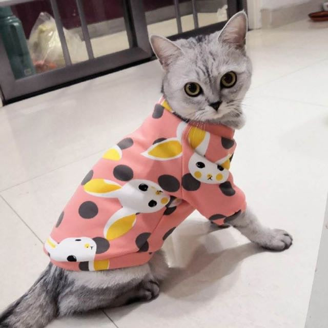 Bunny pet sweaters š°