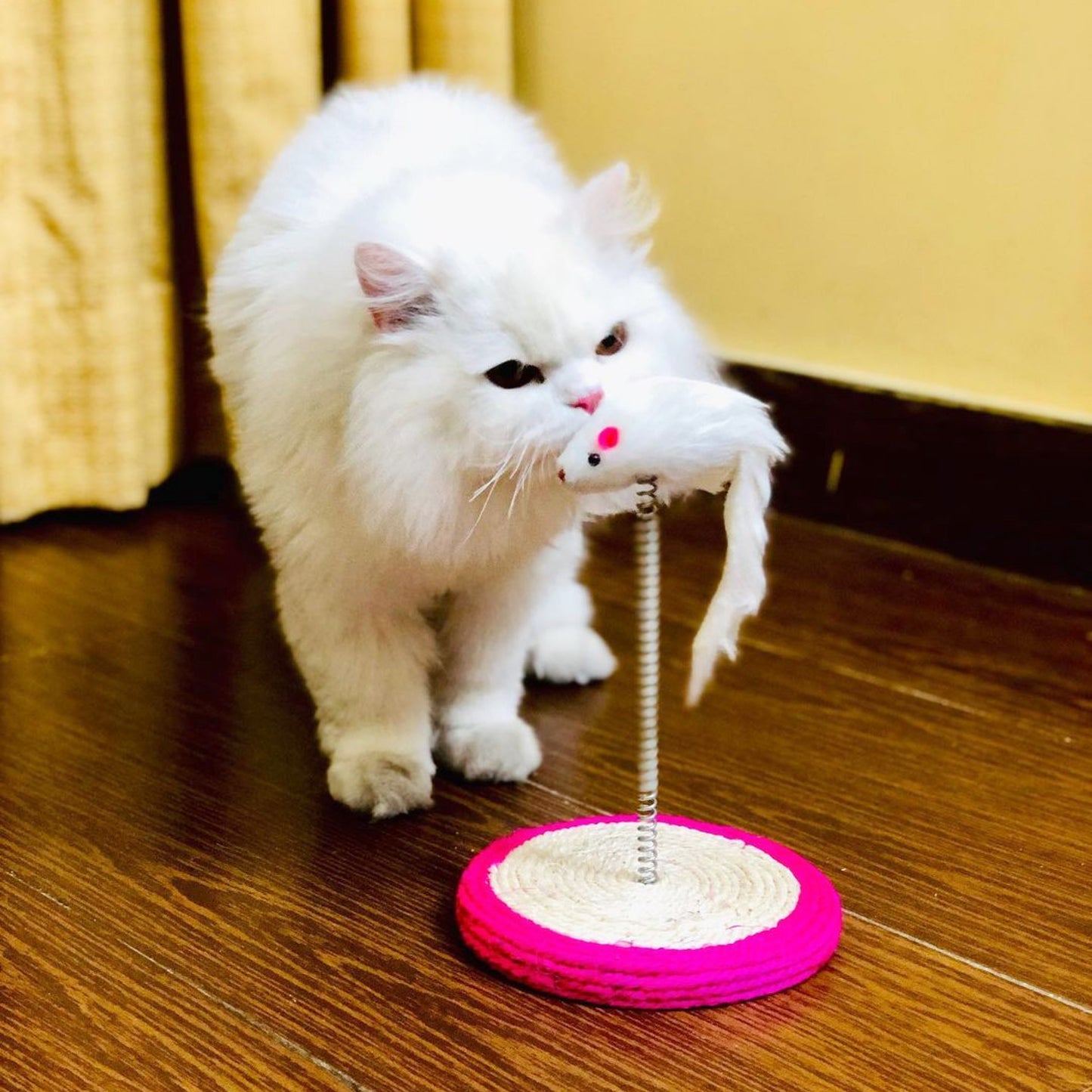 Sisal Spring Mouse Toy