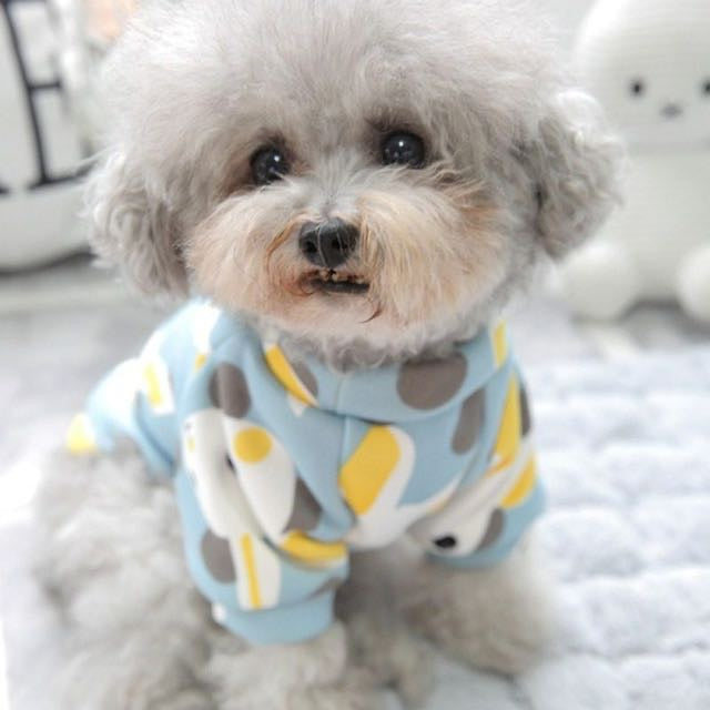 Bunny pet sweaters š°