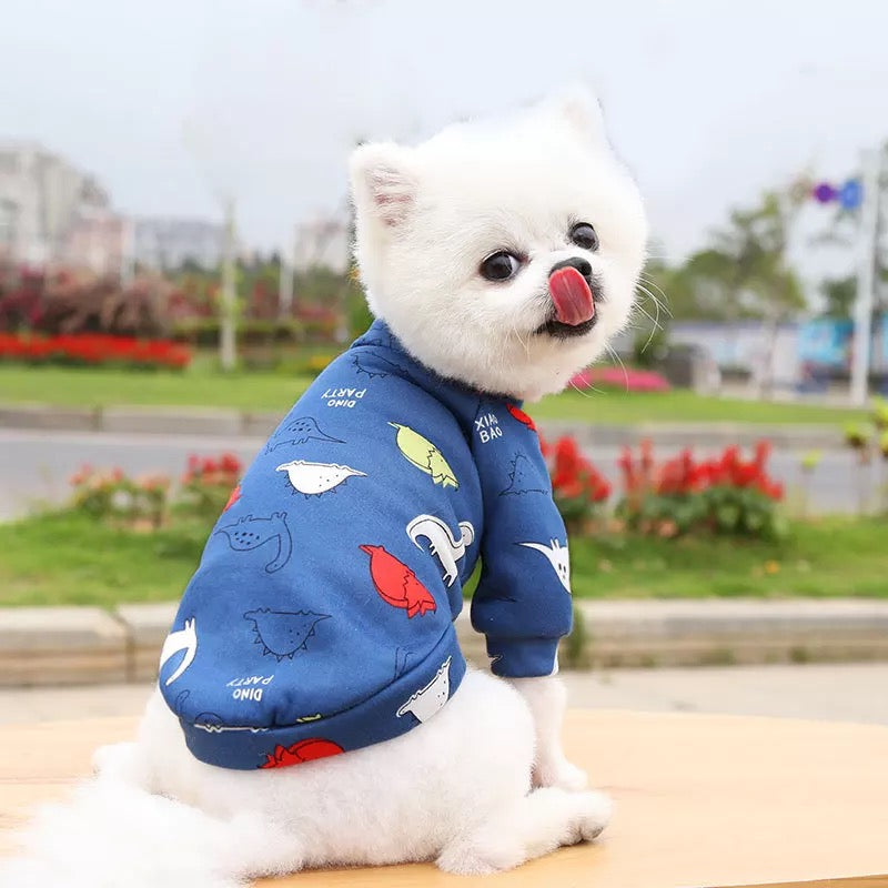 Dino party pet sweater š¦