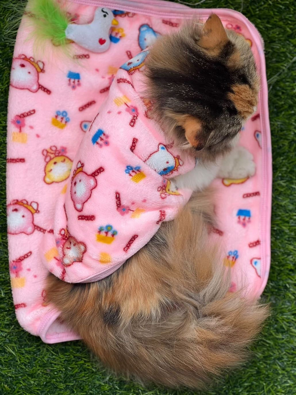 Bubble bears pet sweater 🐻😍 - Pink