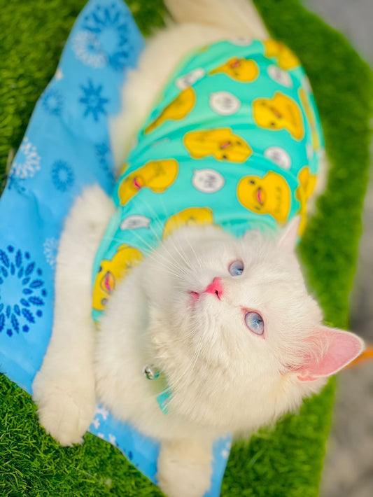 Duck pet shirt - Green π₯