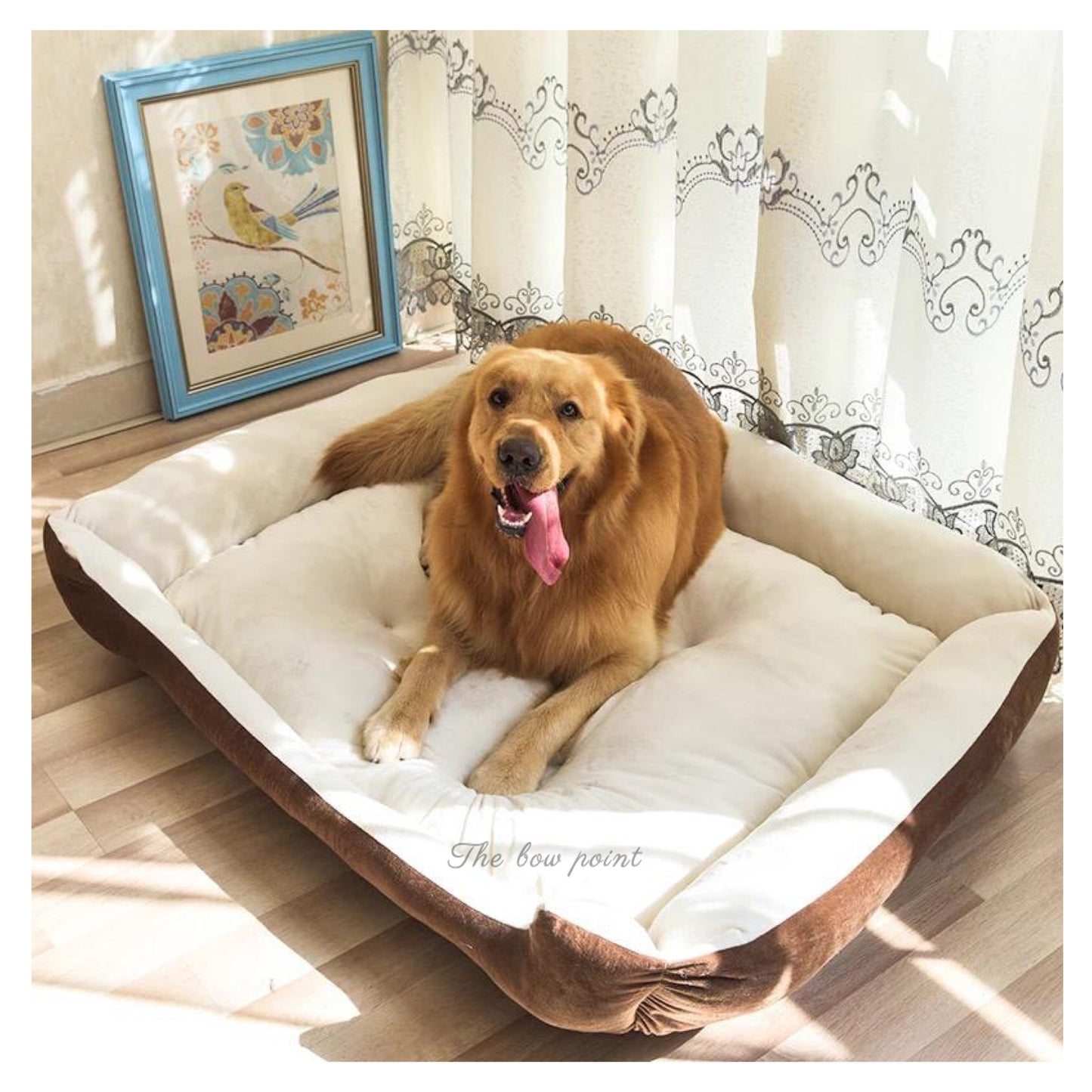 Comfy paw pet bed - For large breed dogs